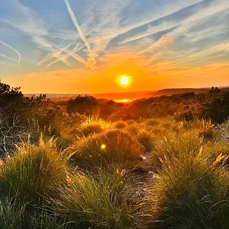 Sofia Costa Blanca Apartamento